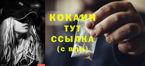 молекула духа Майский