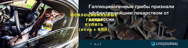 индика Липки