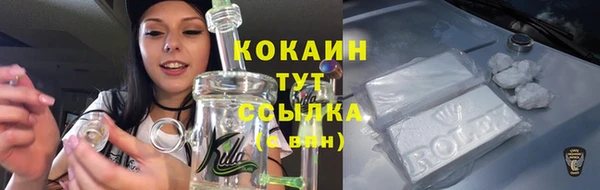 молекула духа Майский