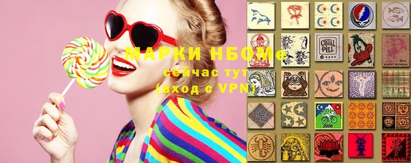 индика Липки