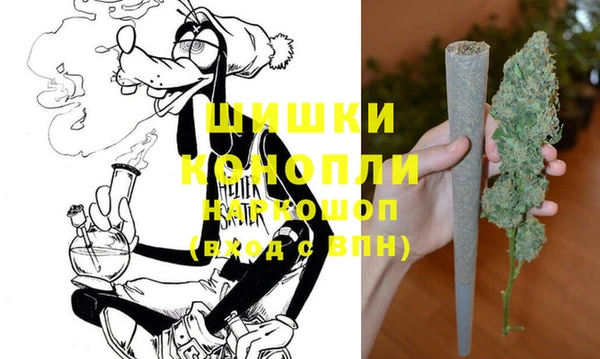 индика Липки