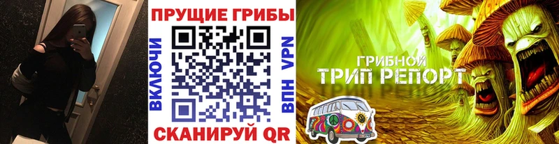 купить наркоту  ОМГ ОМГ зеркало  Галлюциногенные грибы MAGIC MUSHROOMS  Камешково 